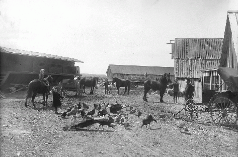 Parkinson family in barnyard